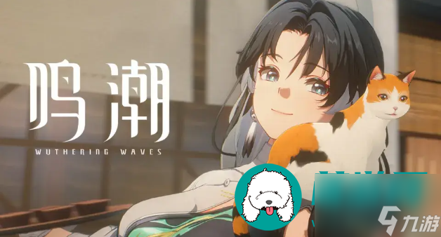 im电竞平台鸣潮公测兑换码2024最新版-鸣潮手游开测礼包兑换码推荐(图2)