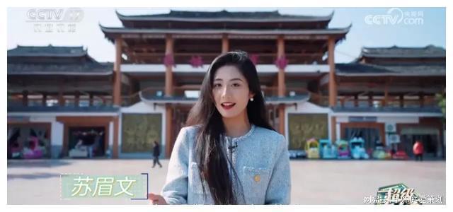 央视综艺主持人洗牌完成八位新人惊艳亮相新的门面担当已出现(图3)