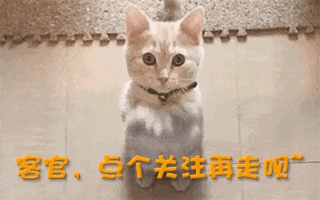 im电竞网站从“国民偶像”到破产负债被人在养老院偶遇的解晓东究竟怎么了(图31)