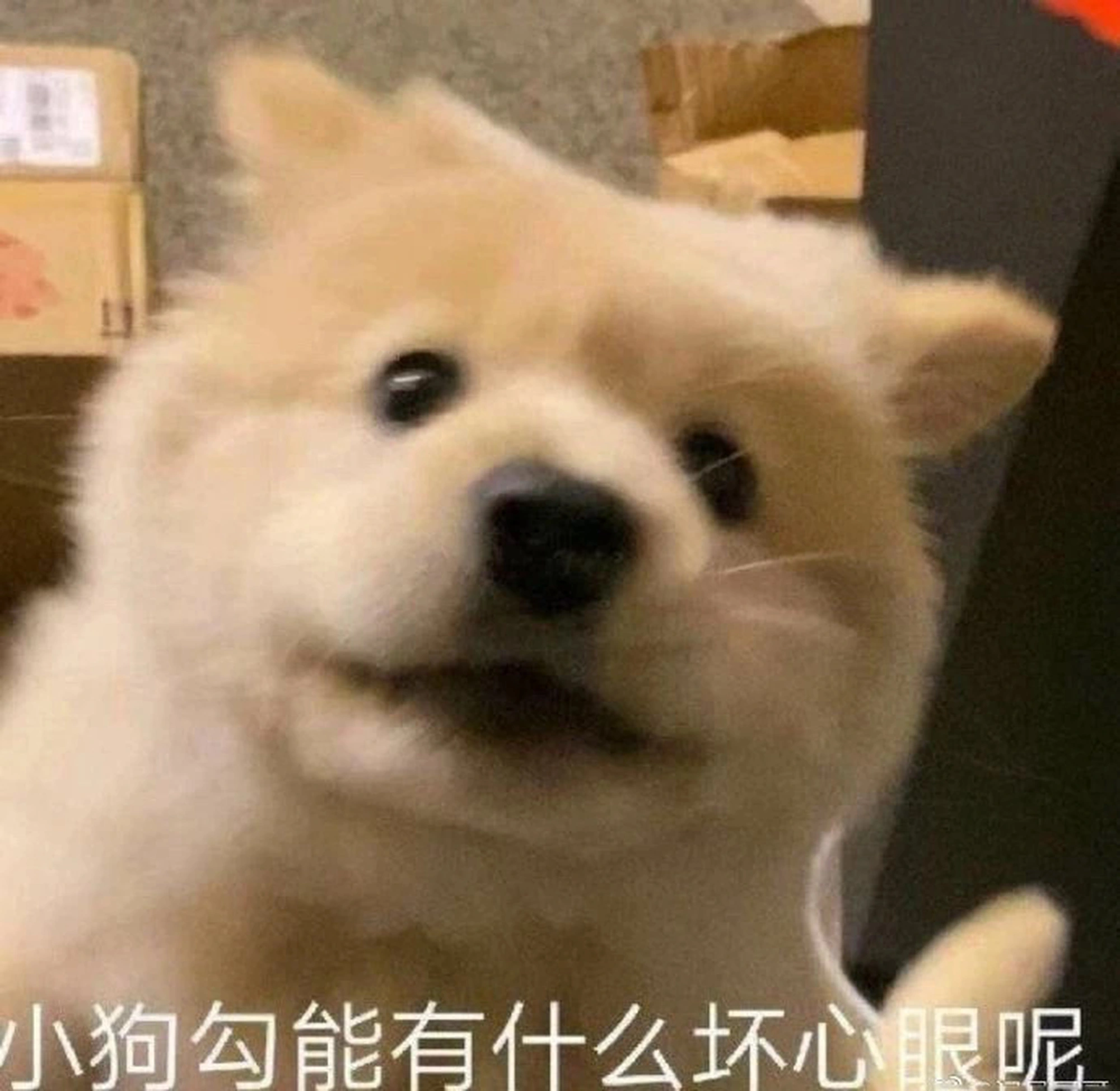 流言板]ES发文：在一场场战斗中点燃自己我会亲手照亮前方星河！(图3)