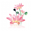 youxiniaocom(图37)