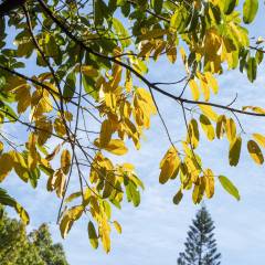 im电竞网站2024国内高校电竞专业排名(图4)