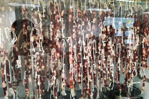 和尚庙里猛如虎免费在线阅读_四缺一_全im电竞集最新_核博弈给国际军控形势增添变数(图2)
