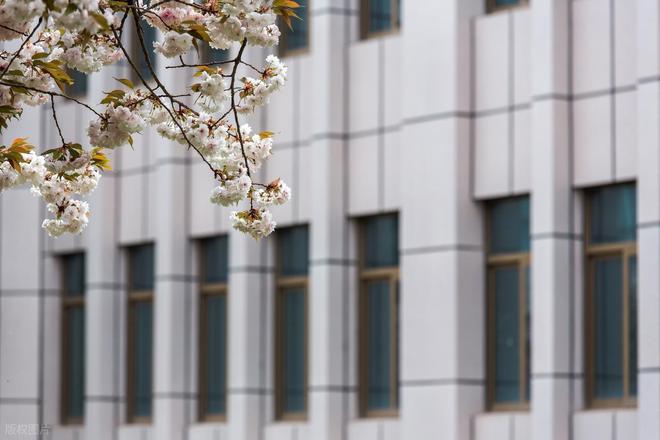 人工智能专业排im电竞网站名：西安电子科技大学成黑马前12名大学都有哪些(图8)