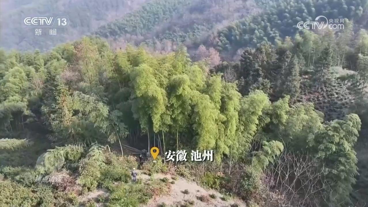 焦点访谈｜绿色消费催生新消费、重塑新生活(图3)